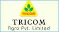 search marketing chennai india, search optimization chennai india